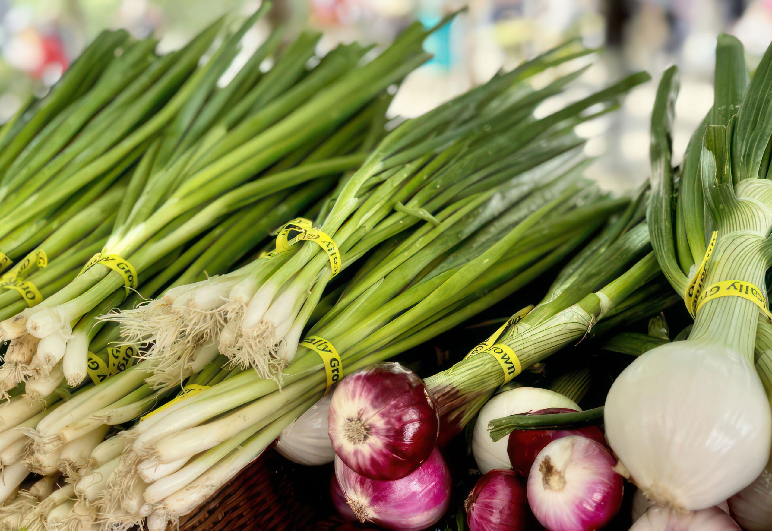 Lake Oswego Farmer's Market