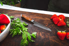 4" Paring Knife - STEELPORT