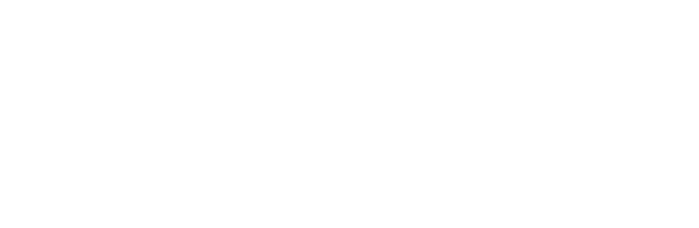 STEELPORT Knife logo